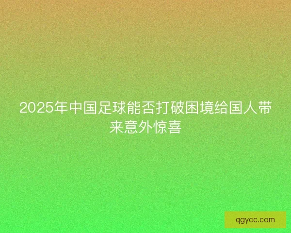 2025年中国足球能否打破困境给国人带来意外惊喜