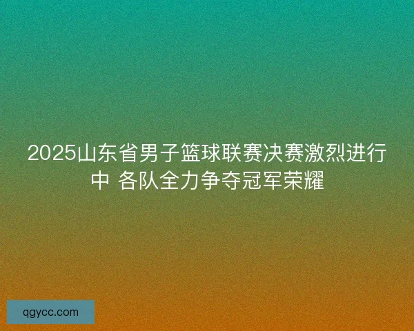 2025山东省男子篮球联赛决赛激烈进行中 各队全力争夺冠军荣耀